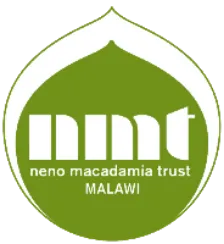nmt
