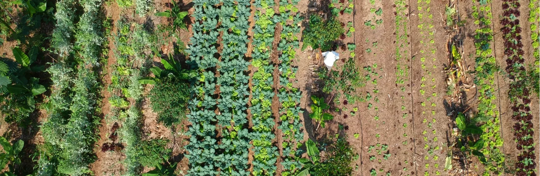What is agroecology and why does it need further investment?