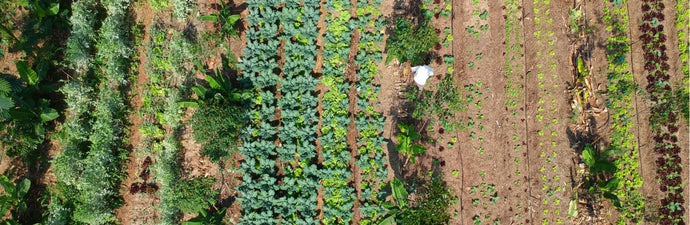 What is agroecology and why does it need further investment?