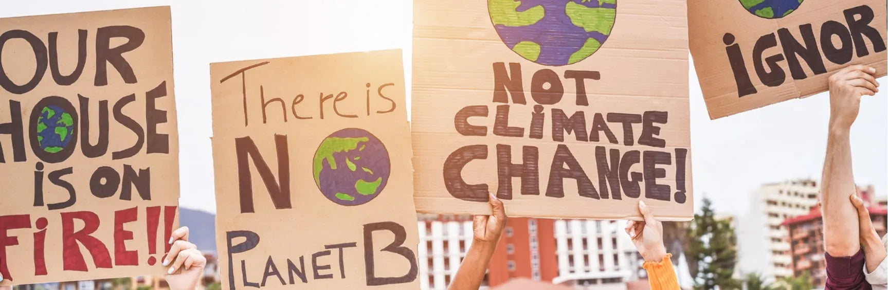 The link between COVID-19 and the climate change agenda