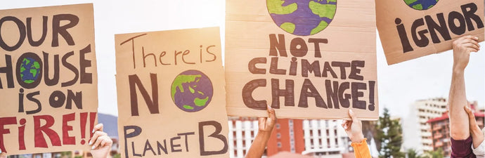 The link between COVID-19 and the climate change agenda