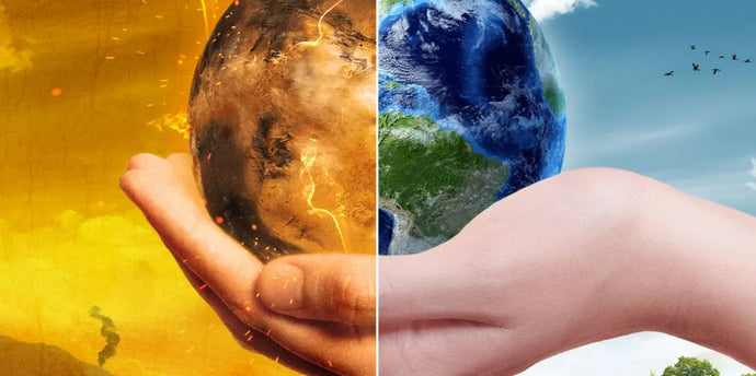 Has the lockdown opened our eyes to our impact on the climate?