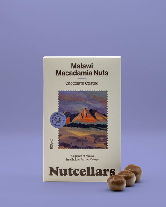 Chocolate Coated Macadamias 100g