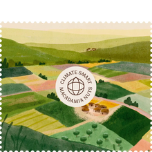 Crunchy Macadamia Nut Butter 1kg