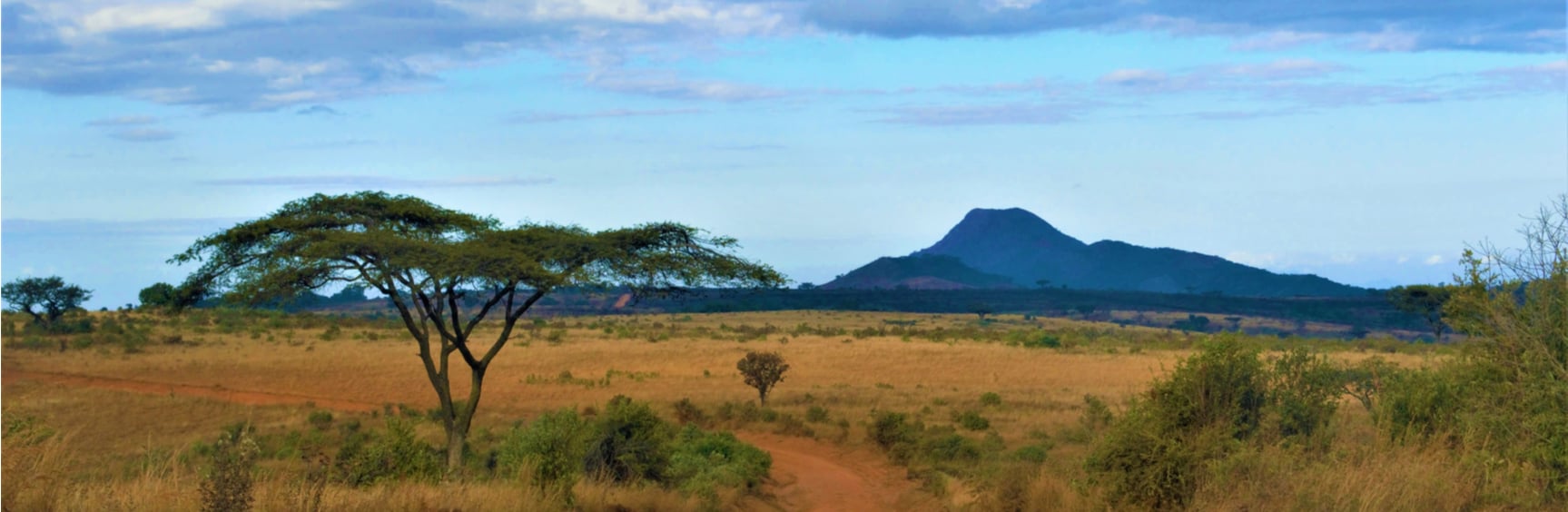 National Macadamia Nut Day - Malawi