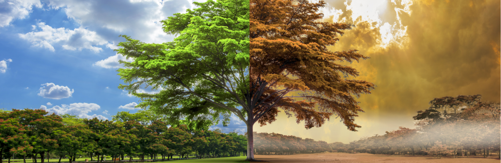 global warming concept
