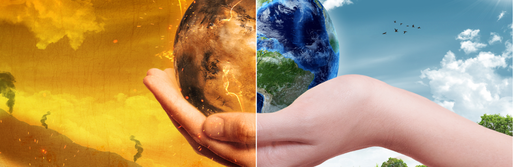 climate change impact