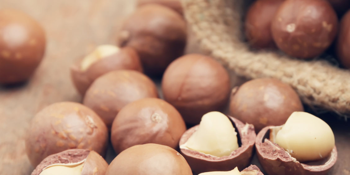 tasty healthy sustainable macadamia nuts