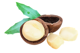 tasty healthy sustainable macadamia nuts